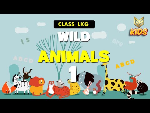 Wild Animal - 1 - LKG - EVS - Gyansrota Kids