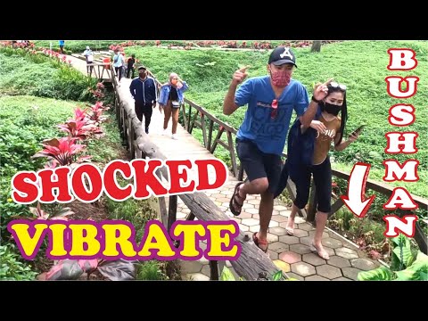 bergetar-reaksinya-bushman-prank