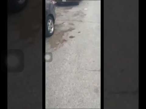 Latin Queen👑 Destroys A Lady D Memorial🔱| #GANGBANGCITY