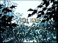 Walt Disney Pictures 1998 Robin Hood 1973 Closing Logos