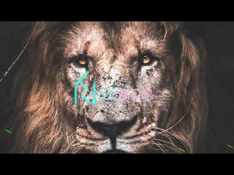 TI SOLDAT PROD - L E R O I L I O N ( OFFICIAL REMIX )