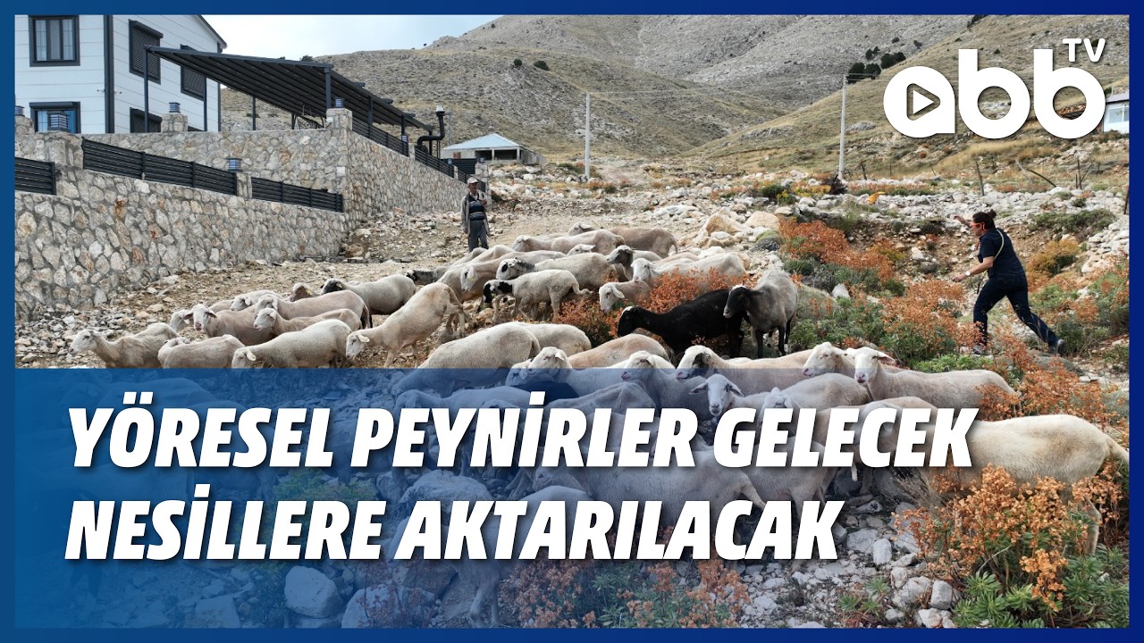 YÖRESEL PEYNİRLER GELECEK NESİLLERE AKTARILACAK
