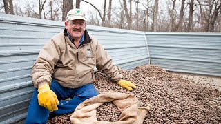 Organic Pecans | Missouri Northern Pecan Growers