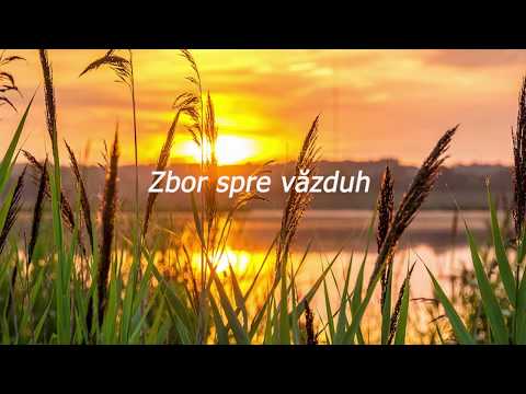 Iosua Cofar - Zbor spre vazduh