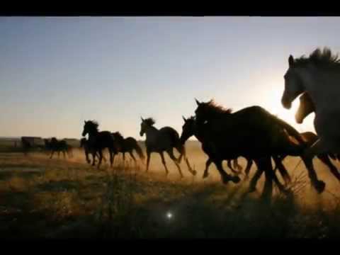 De aquellos tiempos  (Los Romeros de la Puebla)