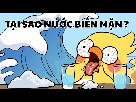 Tại sao NƯỚC BIỂN MẶN,  NƯỚC SÔNG lại ngọt?