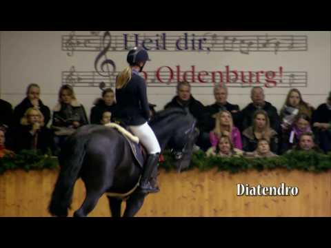 Diatendro - deutsch - 2017