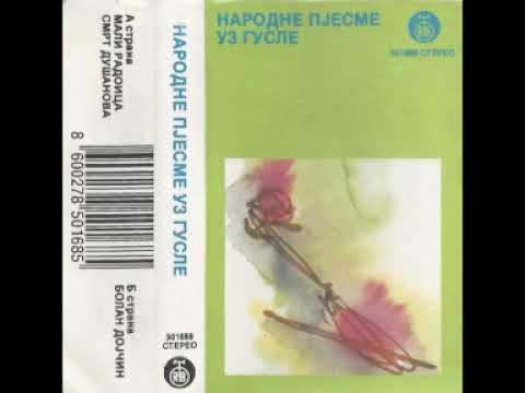 Гуслари Милош Бајчета и Гојко Гашевић  -  Мали Радојица