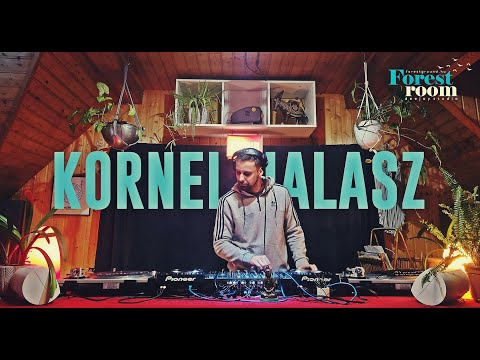 Kornel Halasz // Forest Room Grand Opening Studio set
