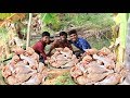 KING OF CHICKEN LEGS PEPPER CHILLY CHICKEN FRY Using Hand Made Masalas Village Cooking Factory