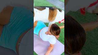 She Wanted Yoga. The Dog Wanted Attention 😂🧘‍♀️🐶 #yoga #dogshorts #funnydogs #shorts #stretching
