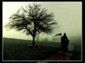 PAN DE MEDIANOCHE.wmv