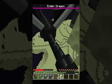 SHOCKING Minecraft Hack: Obtain Elytra without Ender Dragon!