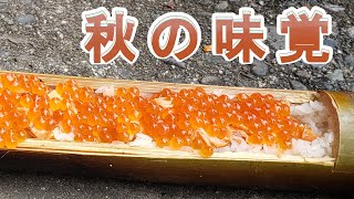 【イクラの作り方】イクラ、鮭、巨大シイタケ、秋の味覚色々食べてみた【チャンチャン焼き】