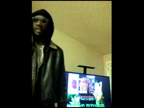 RAMMA DONN - FOOD FI THE BRAIN