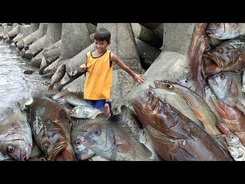 JACKPOT SA PAHIBAS NG LAMBAT! mga mamahaling isda Ang naninirahan Dito sa jackstone