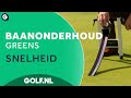 Stimp: sneller is niet beter!