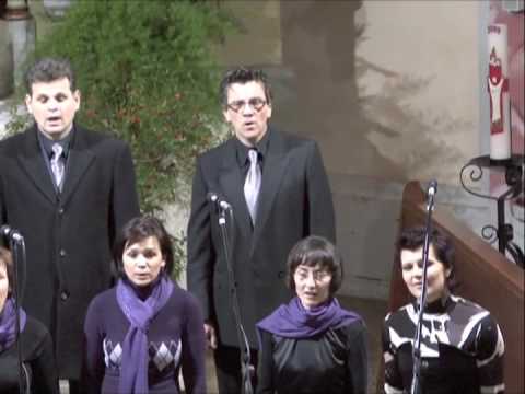 KZ Kor - Heal The World