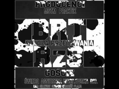 05. BRT RzS - Ciemna Strona Zachodu