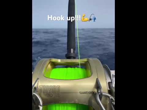 18/07 - HOOK UP!! - Cavalier & Blue Marlin Sport Fishing Gran Canaria