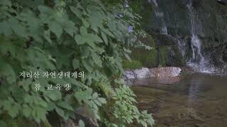 포레스토피아 소개영상