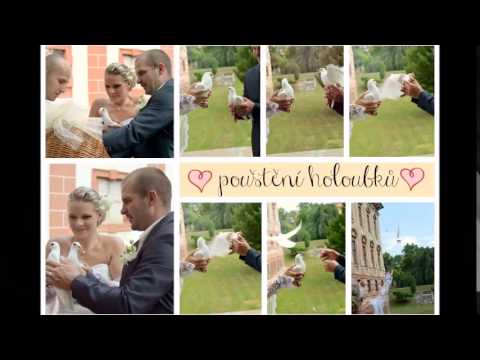 svatební video