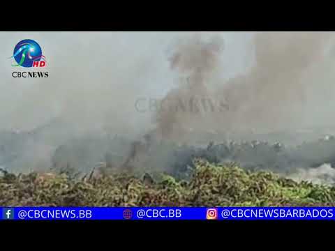 Bush fire rages