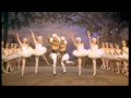 The Intelligence Men - Swan Lake