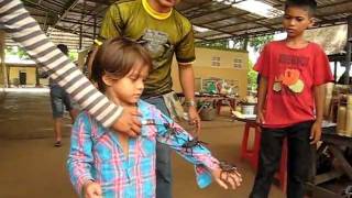 preview picture of video 'les mygales grillées et vivantes de Skun au Cambodge'