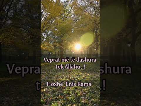 Veprat më të dashura tek Allahu..!