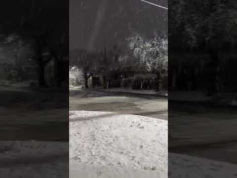 intensas nevadas en Desde San Patricio del Chañar, Neuquén 🎥 05/08/26 #nieve #nevadas