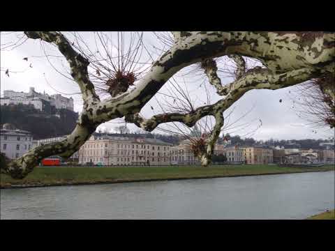 Mein Tanuki Alptraum Film,Teil 3, Walter Pall schreibt 2013 usw.