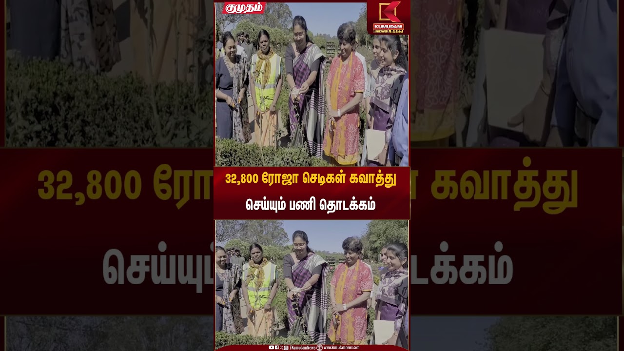 32,800 ரோஜா செடிகள் கவாத்து செய்யும் பணிகள் தொடக்கம் | Kumudam News