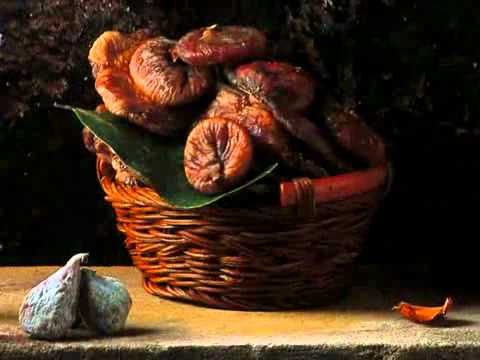 Die Route des Weins: Ein Weg voller neuer Sinneseindrücke