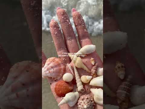 Say hi in the comments!