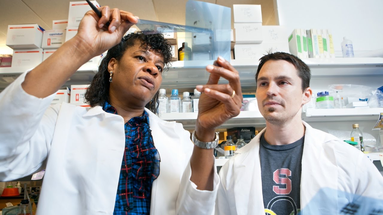 Biological and Biomedical Sciences Graduate Program