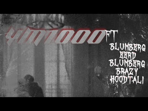 Gangster Party Ft - BlumbergEerd X BlumbergBrazy & Hood Tali