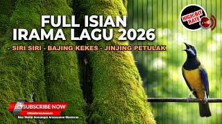 Download lagu 🔴 Live Cucak Cungkok Super Gacor Irama Lagu Enak Full Isian Siri Siri Bajing Kekes Jinjing Petulak mp3