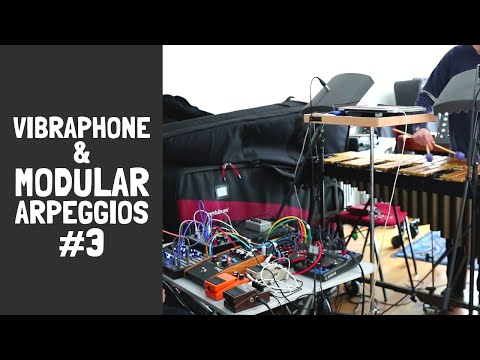 Playing Analog Synth with Vibraphone Arpeggiator #3 - Modular Synth Experiment 2020