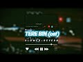 Tere Bin Ost Slowed Reverb Its Faizan Asghar