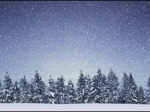 Science as Process and Perspective – 08. Process Thinking