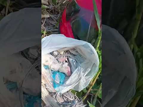 PESCA 🎣 EN EL CAMPING DEL COLORADO FORMOSA