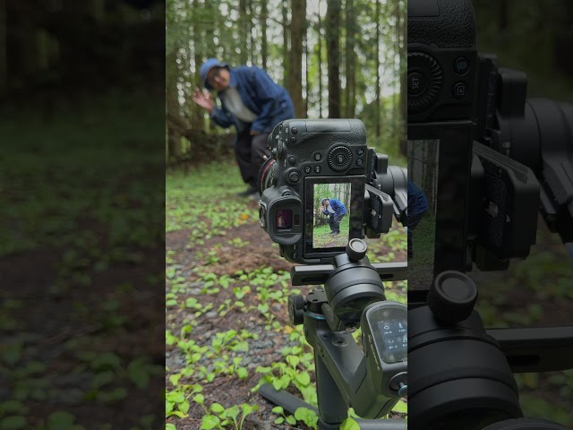 Vídeo relacionado con FeiyuTech [Oficial] SCORP-C2 Estabilizador de Cámara 3 Ejes con Seguimiento AI 4.0, Carga 3,5 kg, Grabación Vertical y Control Bluetooth, Compatible con Sony A7 IV/A6700, Canon G7X Mark III, Nikon...