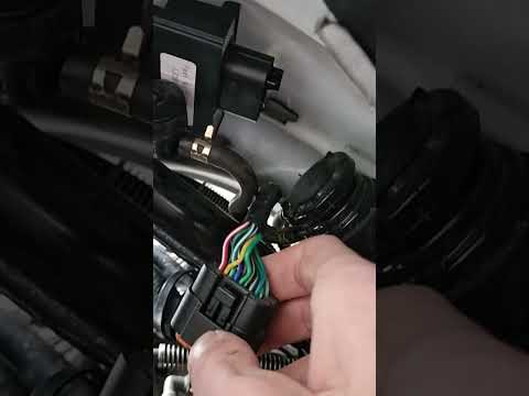 China Roller Entdrosseln? Digita 51... Help