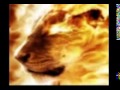 KNOW YOUR ENEMY THE HITTITES PART 2