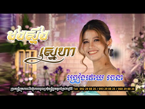 ដងស្ទឹងស្នេហា ( dong steung sneha )#TheFamilyMusicSiemReap