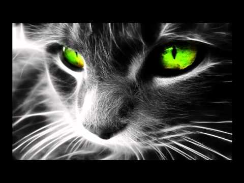 Technoboy meets Ruffian - The Undersound