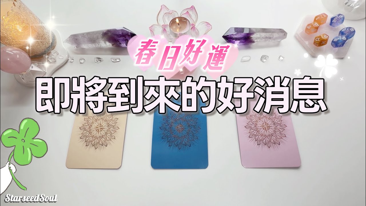 🤍Starseed塔羅|高維訊息：春日好運，即將到來的好消息 (Timeless)
