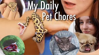 Meet All My Pets! + Doing My Pet Chores