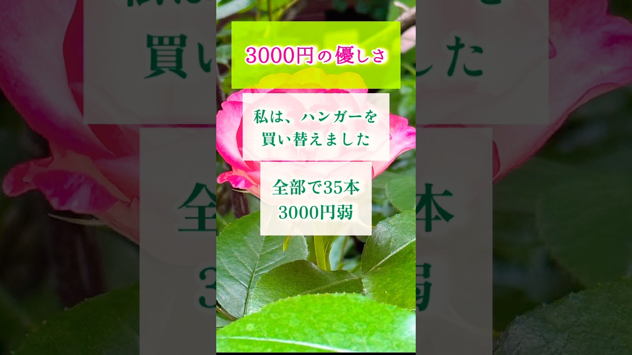 【自分にやさしく】　#roseもう一つの部屋 #エネルギー